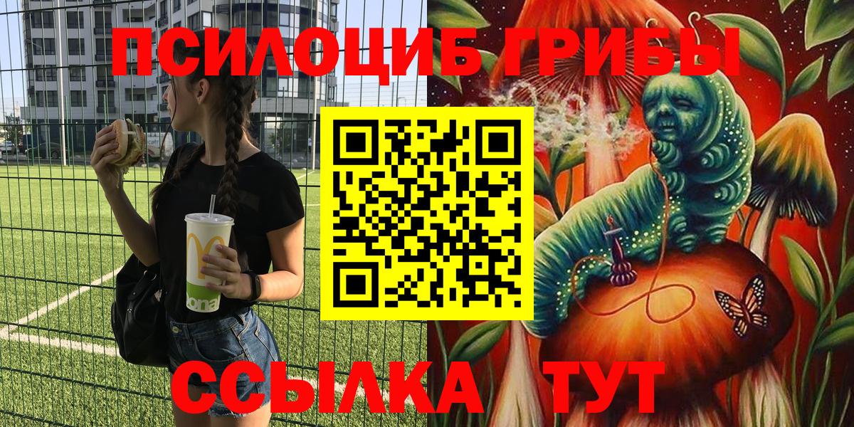 Псилоцибиновые грибы мицелий Дербент